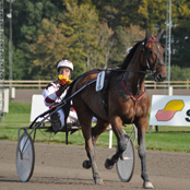 Iform Hästfoder